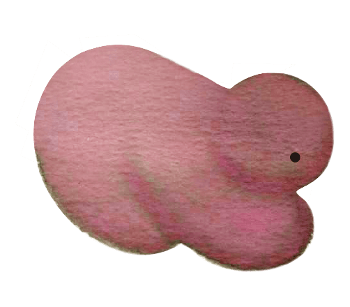 遊子　Namu Namu